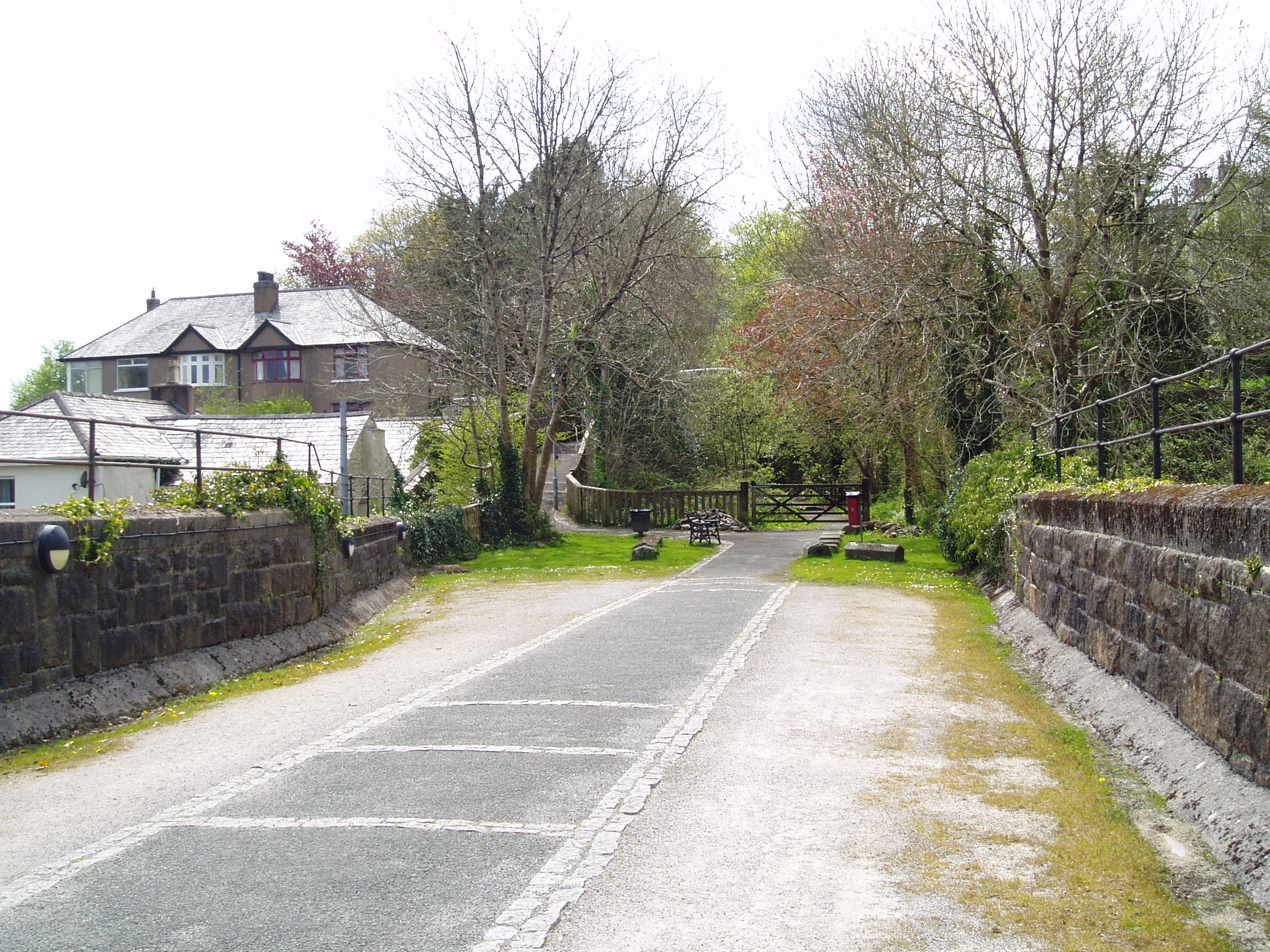 Tavistock viaduct