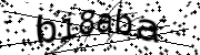 Anti-Bot verification code image